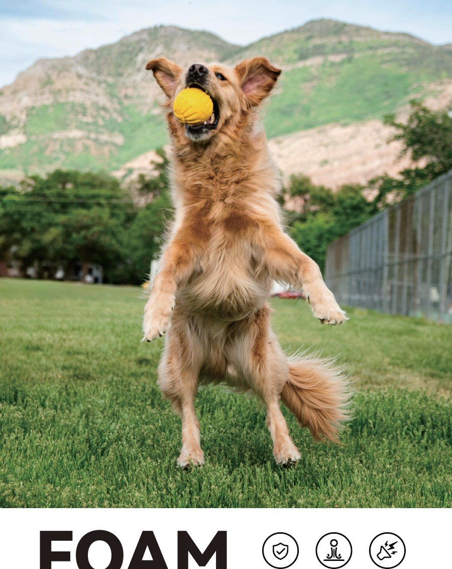 Foam Fetch Collection dog toy catalog — Multiple sizes | PawMivo