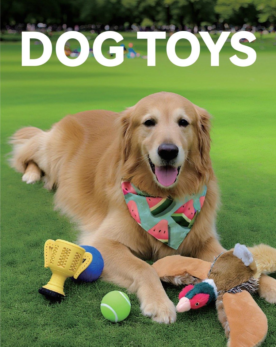 PawMivo dog toys — golden retriever with fetch balls and plush toys